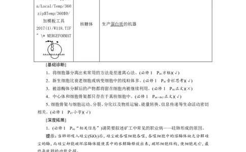 [12501769]高中生物一轮复习学案：第5讲　细胞器和生物膜系统_新高考复习资料_2023年新高考复习资料_一轮复习_精讲精练2023届新高考生物一轮复习学案