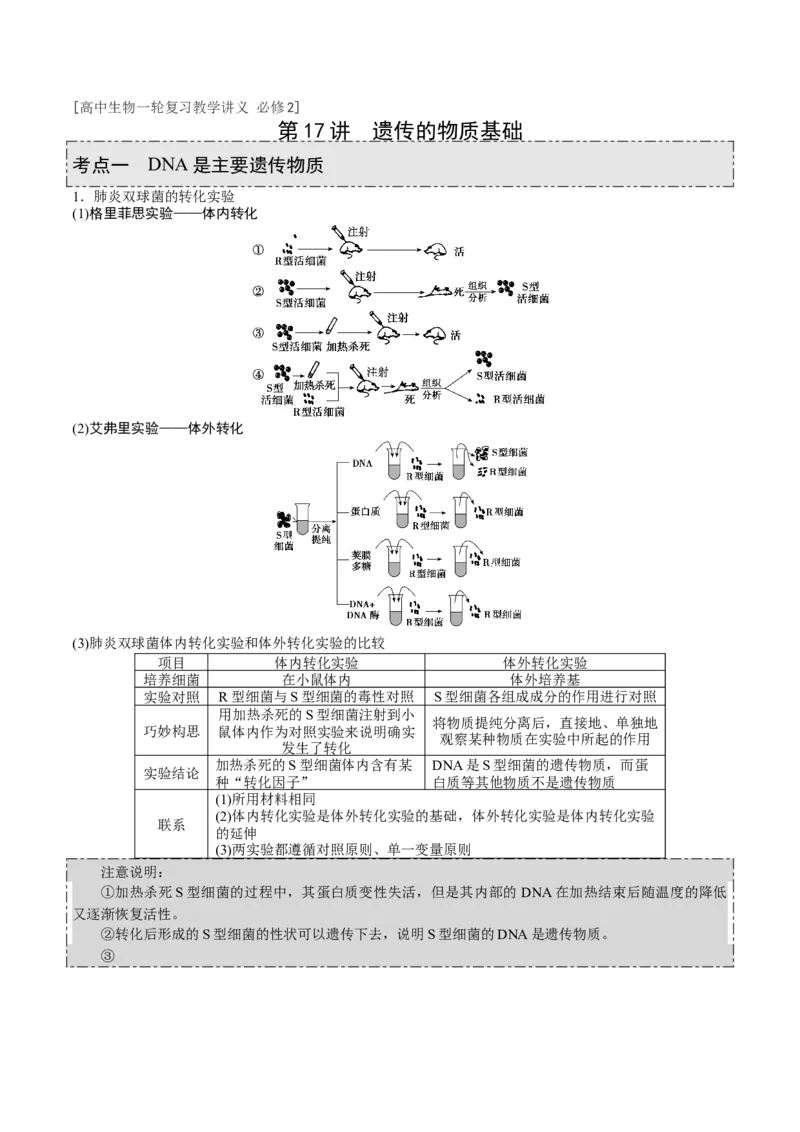 GKSW150_第17讲遗传的物质基础-备战2022年高考生物一轮复习精品讲义（人教版）(原卷版)_新高考复习资料_2022年新高考复习资料_备战2022新高考生物一轮复习精品讲义（人教版）