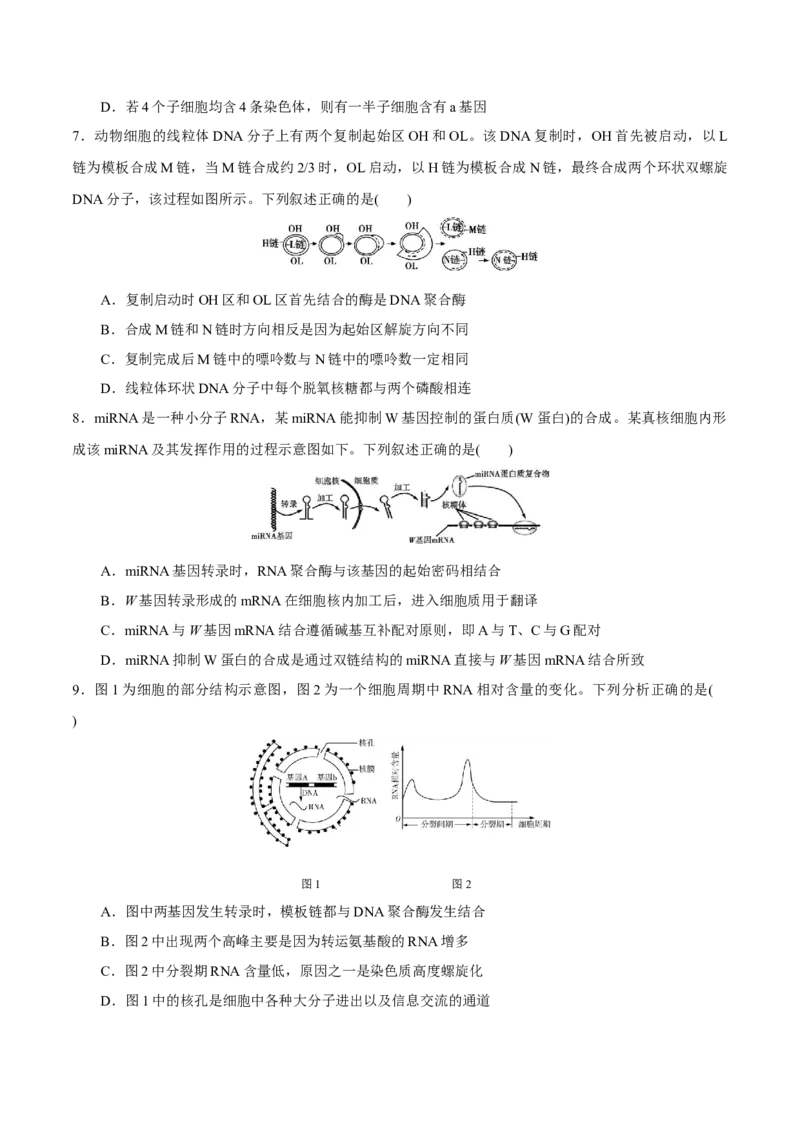 GKSW150_第17讲遗传的物质基础-备战2022年高考生物一轮复习精品讲义（人教版）(原卷版)_新高考复习资料_2022年新高考复习资料_备战2022新高考生物一轮复习精品讲义（人教版）