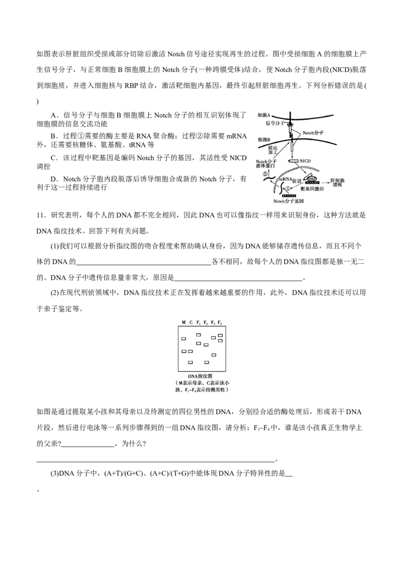GKSW150_第17讲遗传的物质基础-备战2022年高考生物一轮复习精品讲义（人教版）(原卷版)_新高考复习资料_2022年新高考复习资料_备战2022新高考生物一轮复习精品讲义（人教版）