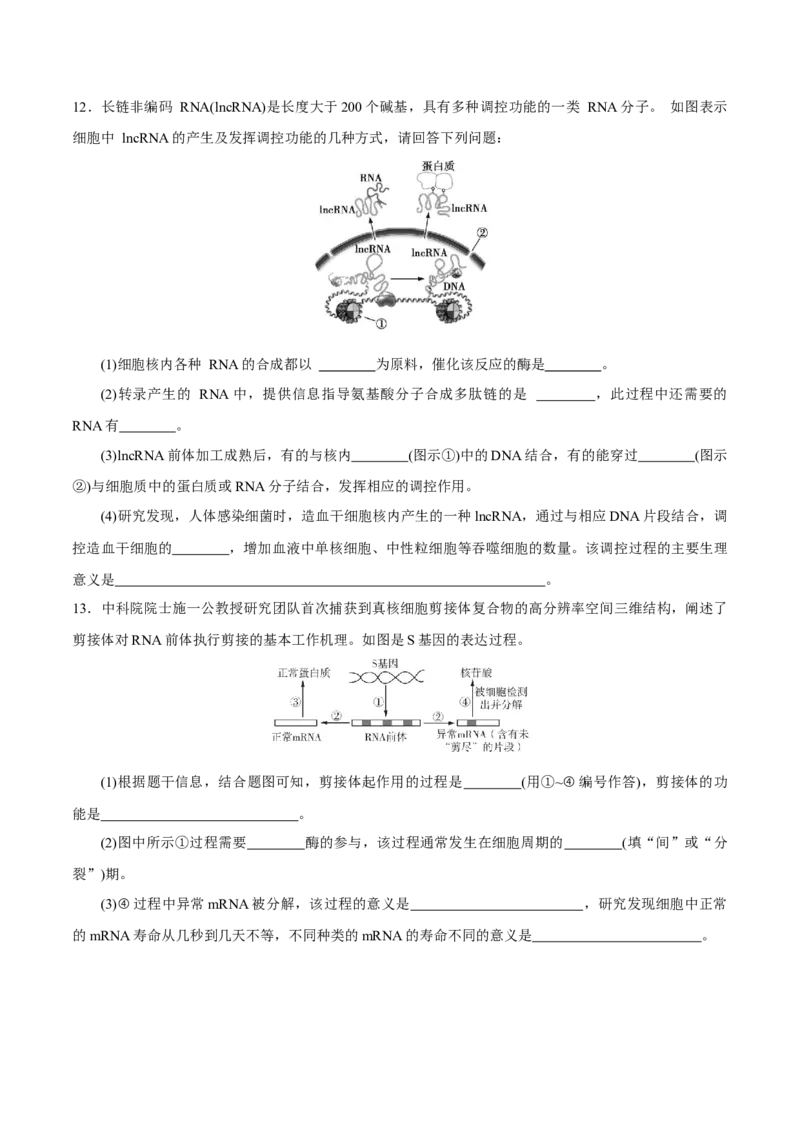 GKSW150_第17讲遗传的物质基础-备战2022年高考生物一轮复习精品讲义（人教版）(原卷版)_新高考复习资料_2022年新高考复习资料_备战2022新高考生物一轮复习精品讲义（人教版）