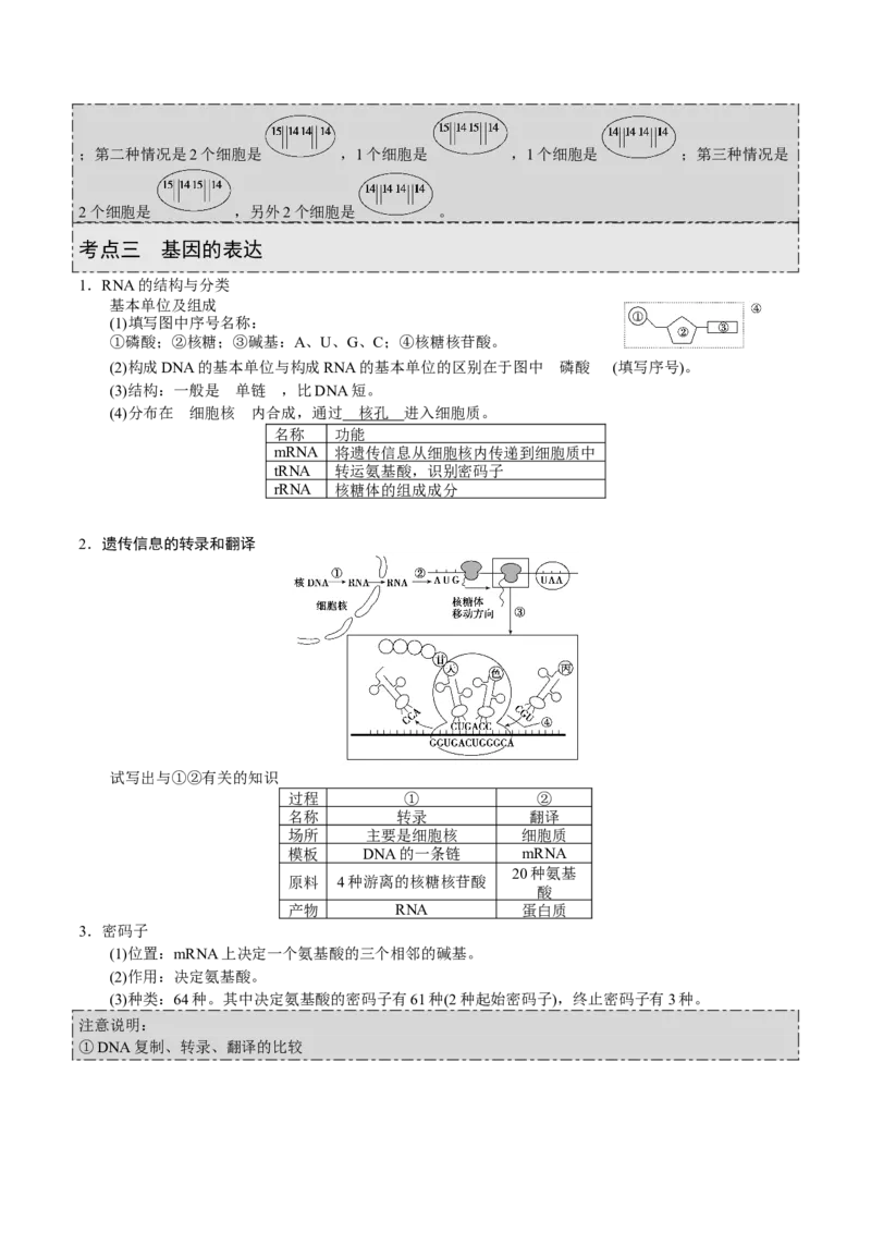 GKSW150_第17讲遗传的物质基础-备战2022年高考生物一轮复习精品讲义（人教版）(原卷版)_新高考复习资料_2022年新高考复习资料_备战2022新高考生物一轮复习精品讲义（人教版）