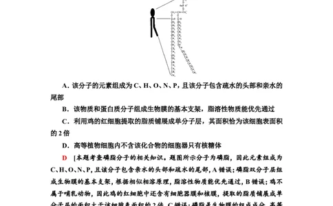 [13326471]备考2023生物课时分层作业4　细胞膜和细胞核(含解析）_新高考复习资料_2023年新高考复习资料_专项复习_备考2023新高考生物课时分层作业