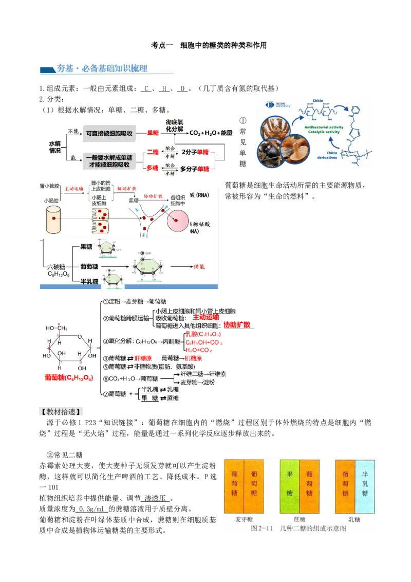 第3讲糖类和脂质（讲义）（教师版）_2024年新高考资料_1.2024一轮复习_2024年高考生物一轮复习讲练测（新教材新高考）