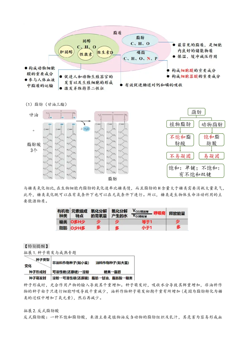 第3讲糖类和脂质（讲义）（教师版）_2024年新高考资料_1.2024一轮复习_2024年高考生物一轮复习讲练测（新教材新高考）
