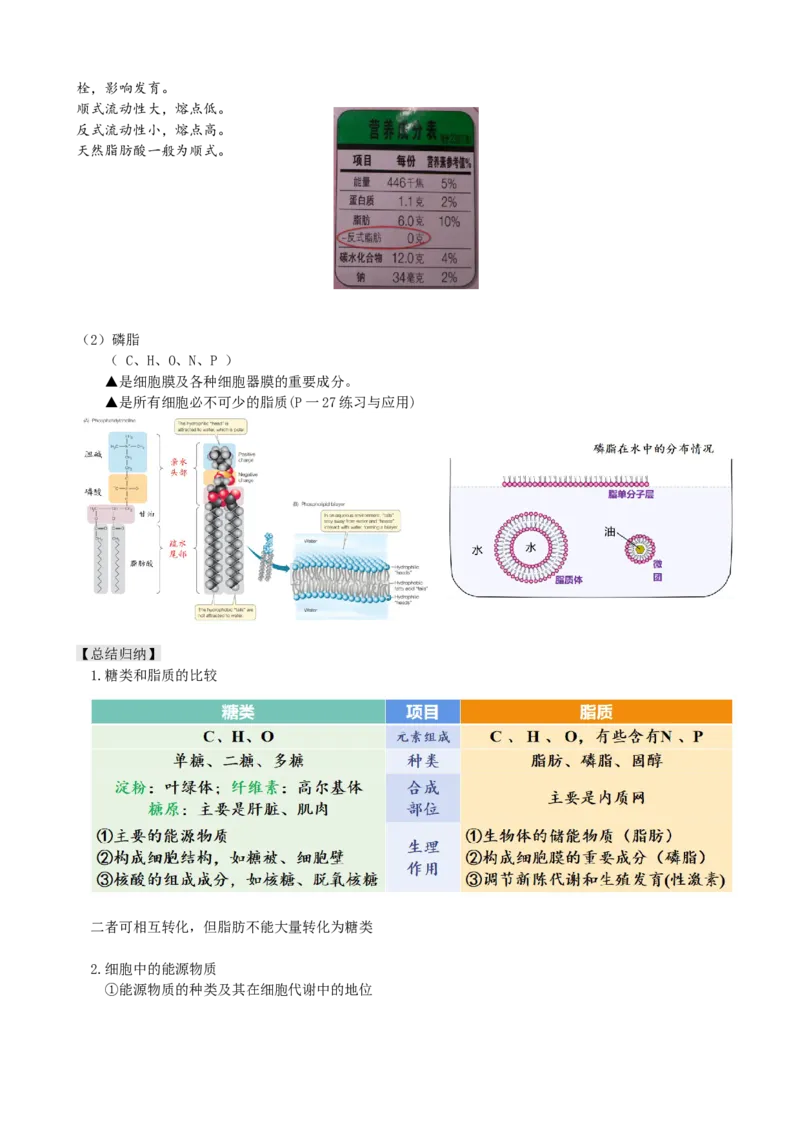 第3讲糖类和脂质（讲义）（教师版）_2024年新高考资料_1.2024一轮复习_2024年高考生物一轮复习讲练测（新教材新高考）