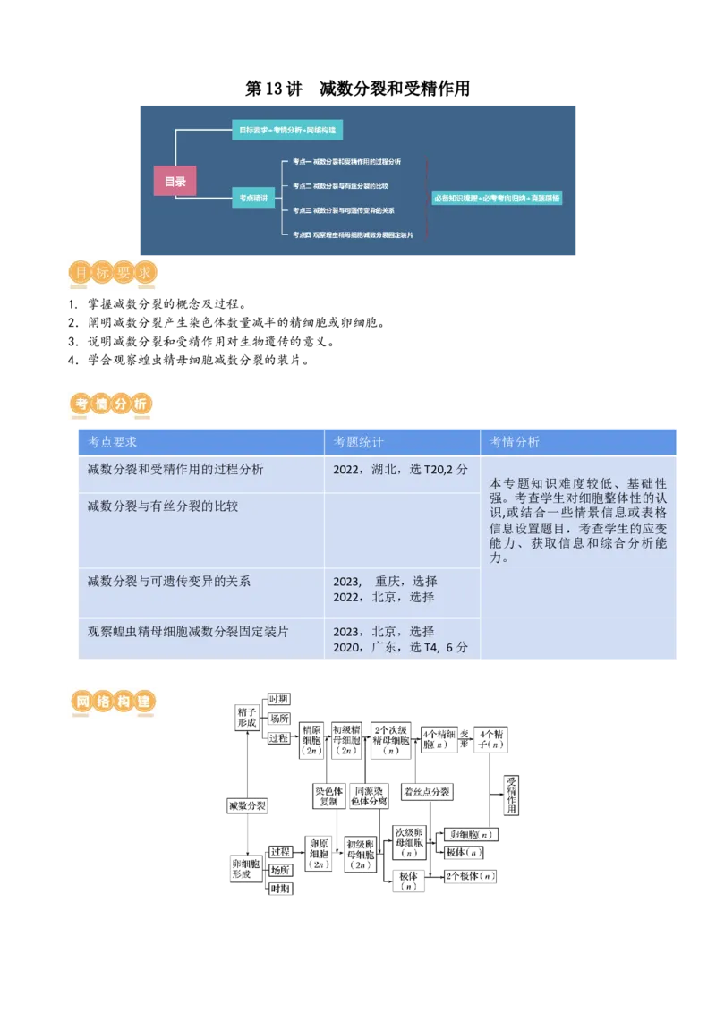 第13讲减数分裂和受精作用（讲义）（学生版）_2024年新高考资料_1.2024一轮复习_2024年高考生物一轮复习讲练测（新教材新高考）