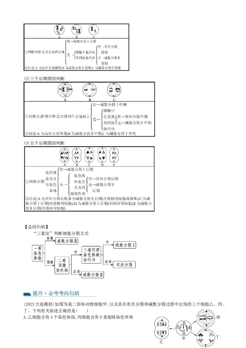 第13讲减数分裂和受精作用（讲义）（学生版）_2024年新高考资料_1.2024一轮复习_2024年高考生物一轮复习讲练测（新教材新高考）