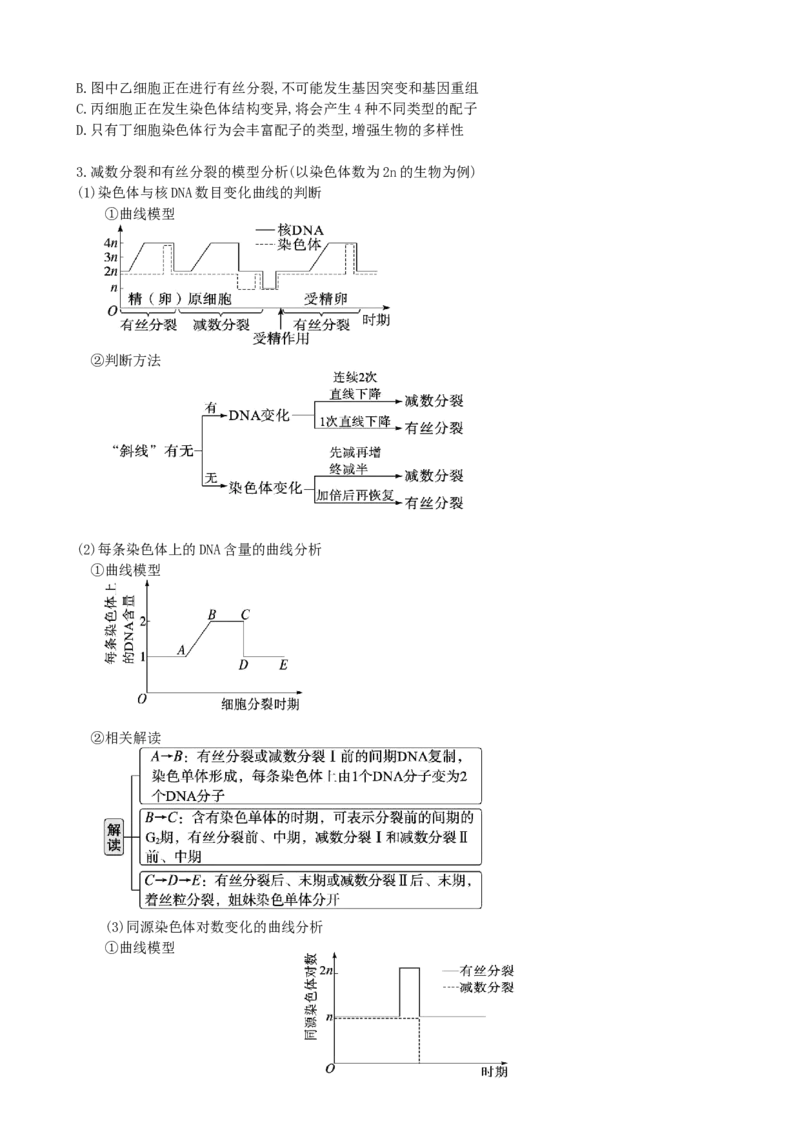 第13讲减数分裂和受精作用（讲义）（学生版）_2024年新高考资料_1.2024一轮复习_2024年高考生物一轮复习讲练测（新教材新高考）