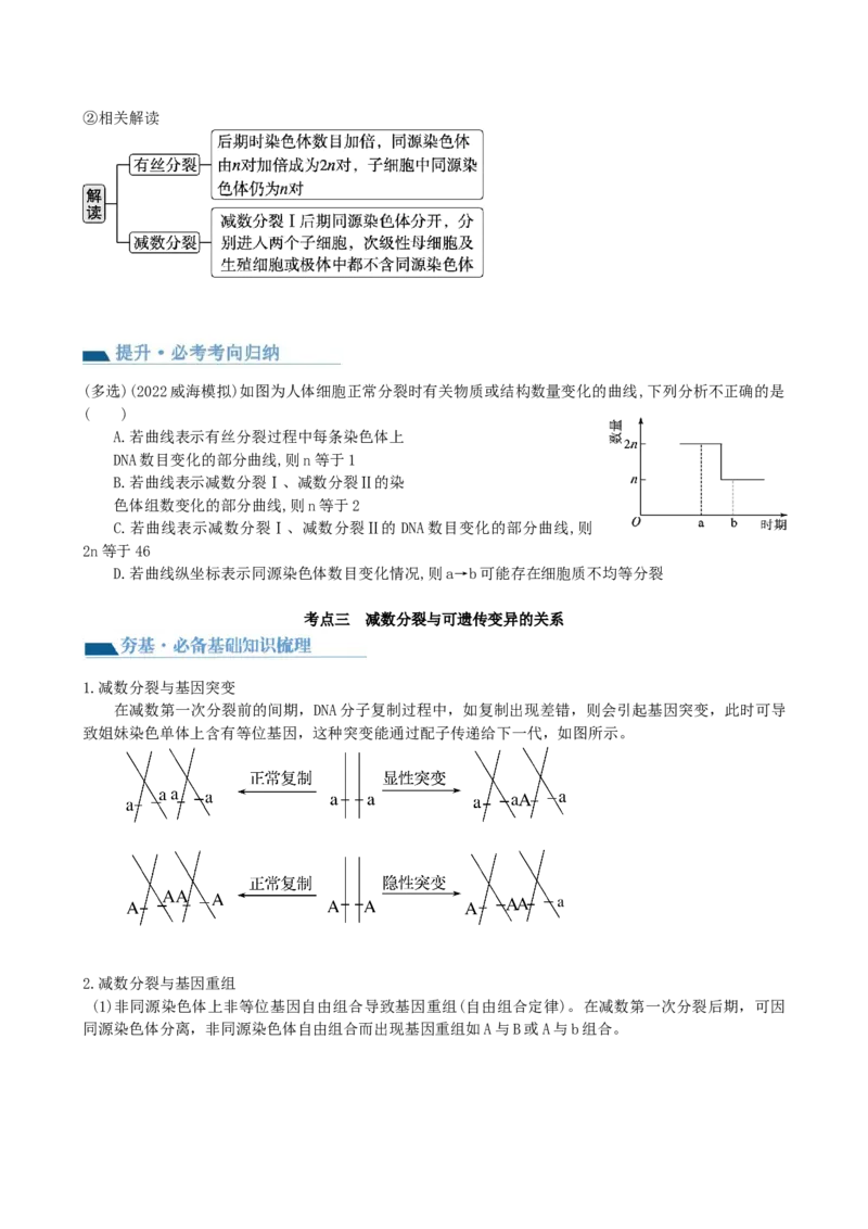 第13讲减数分裂和受精作用（讲义）（学生版）_2024年新高考资料_1.2024一轮复习_2024年高考生物一轮复习讲练测（新教材新高考）