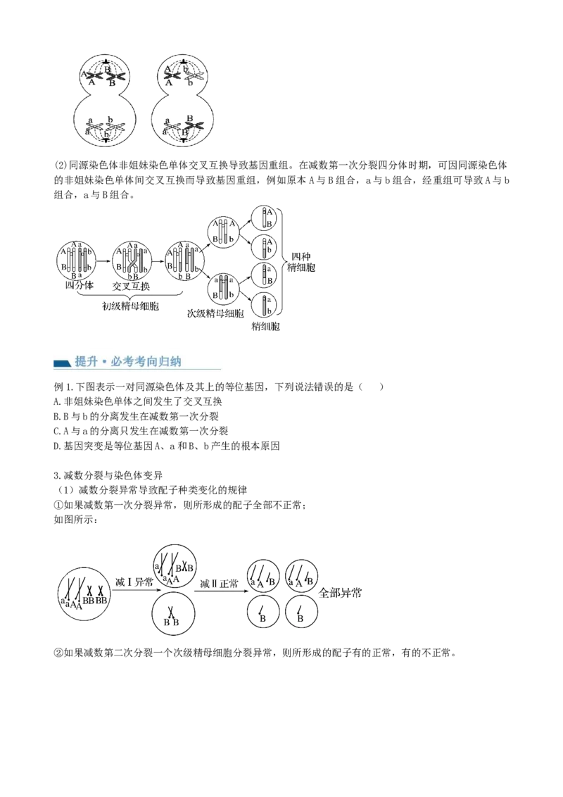第13讲减数分裂和受精作用（讲义）（学生版）_2024年新高考资料_1.2024一轮复习_2024年高考生物一轮复习讲练测（新教材新高考）