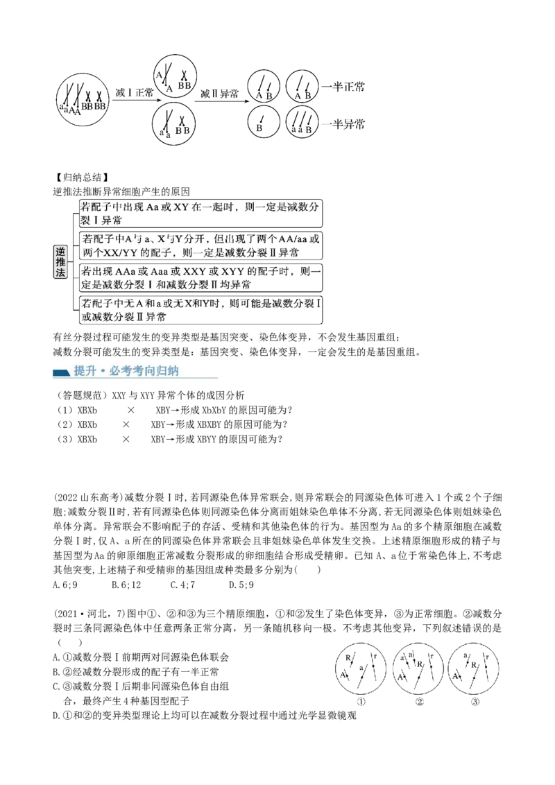 第13讲减数分裂和受精作用（讲义）（学生版）_2024年新高考资料_1.2024一轮复习_2024年高考生物一轮复习讲练测（新教材新高考）