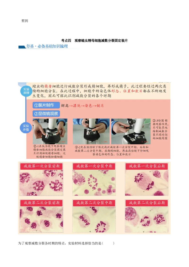 第13讲减数分裂和受精作用（讲义）（学生版）_2024年新高考资料_1.2024一轮复习_2024年高考生物一轮复习讲练测（新教材新高考）