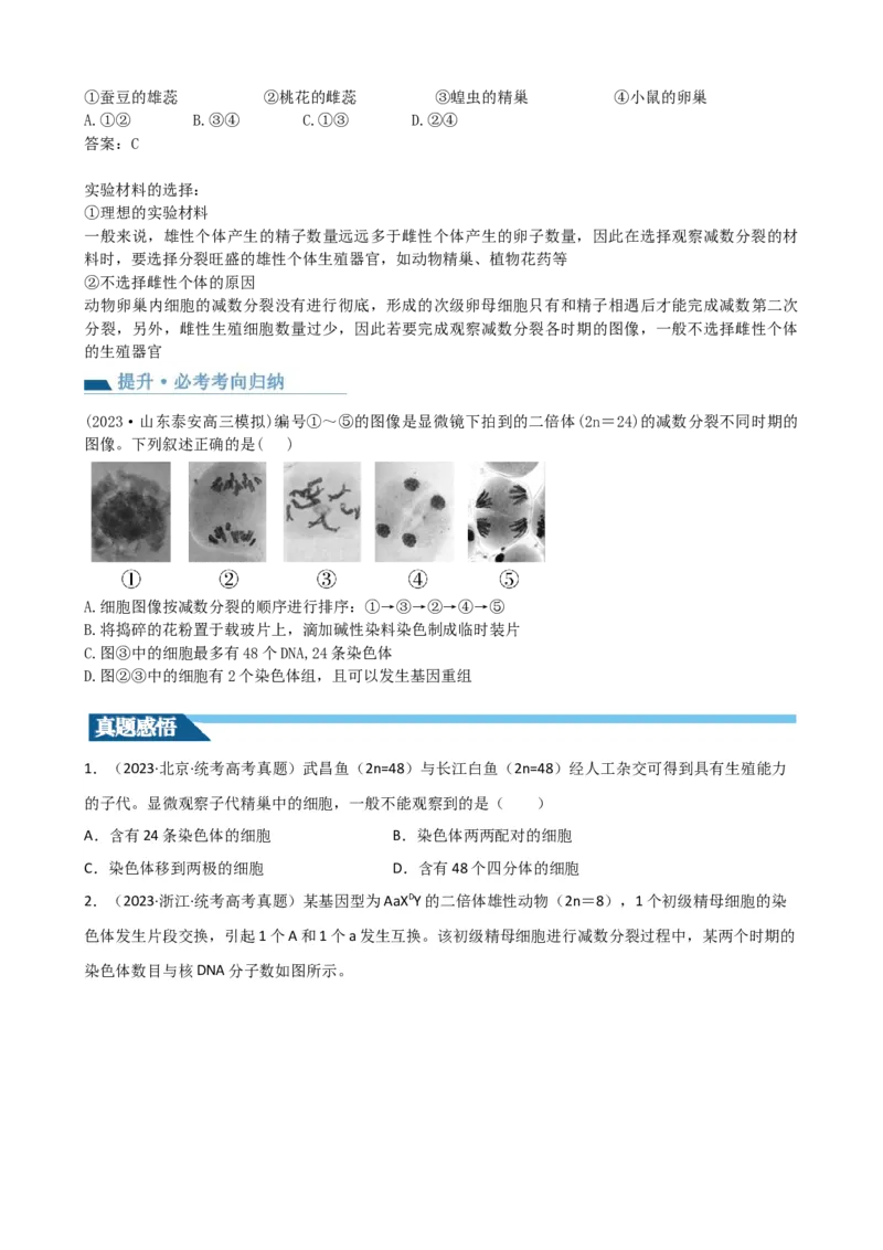 第13讲减数分裂和受精作用（讲义）（学生版）_2024年新高考资料_1.2024一轮复习_2024年高考生物一轮复习讲练测（新教材新高考）