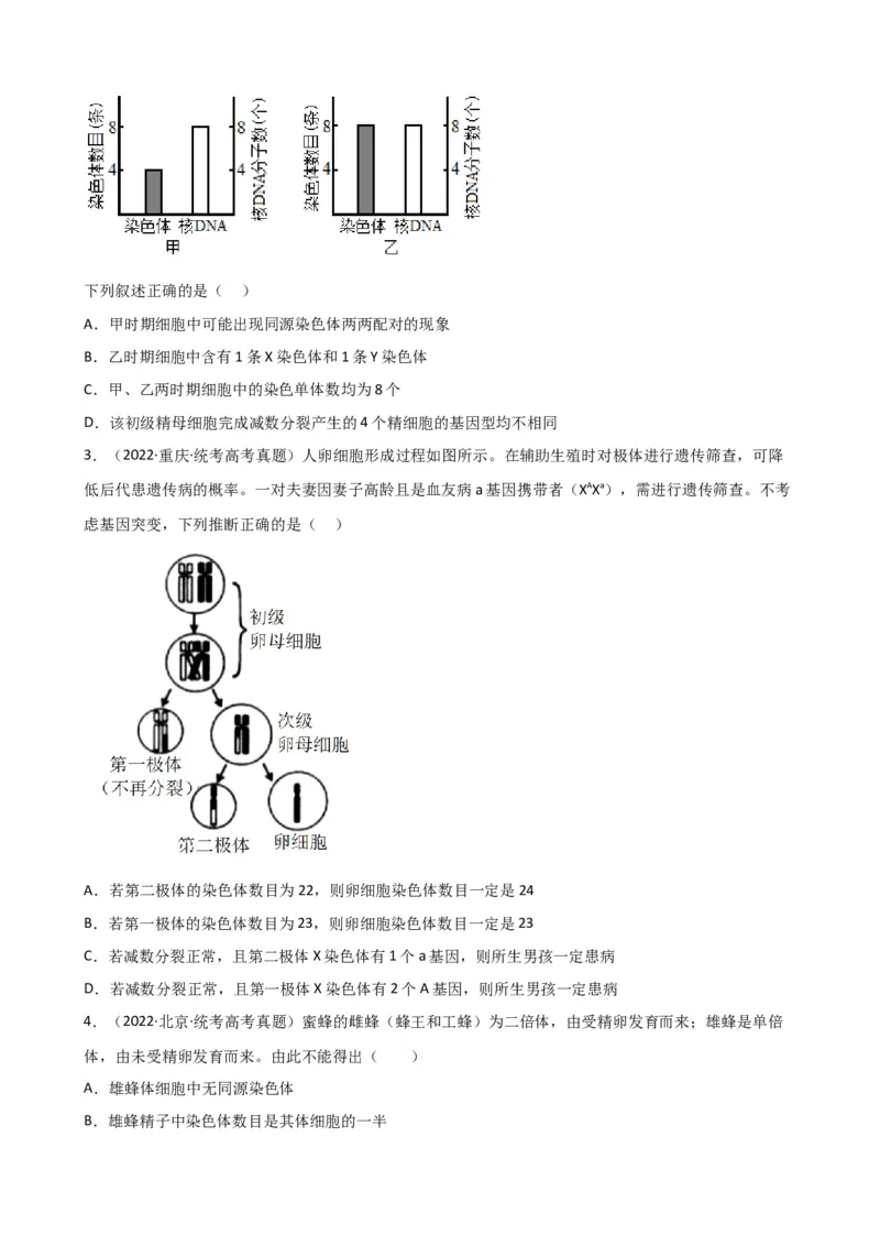第13讲减数分裂和受精作用（讲义）（学生版）_2024年新高考资料_1.2024一轮复习_2024年高考生物一轮复习讲练测（新教材新高考）