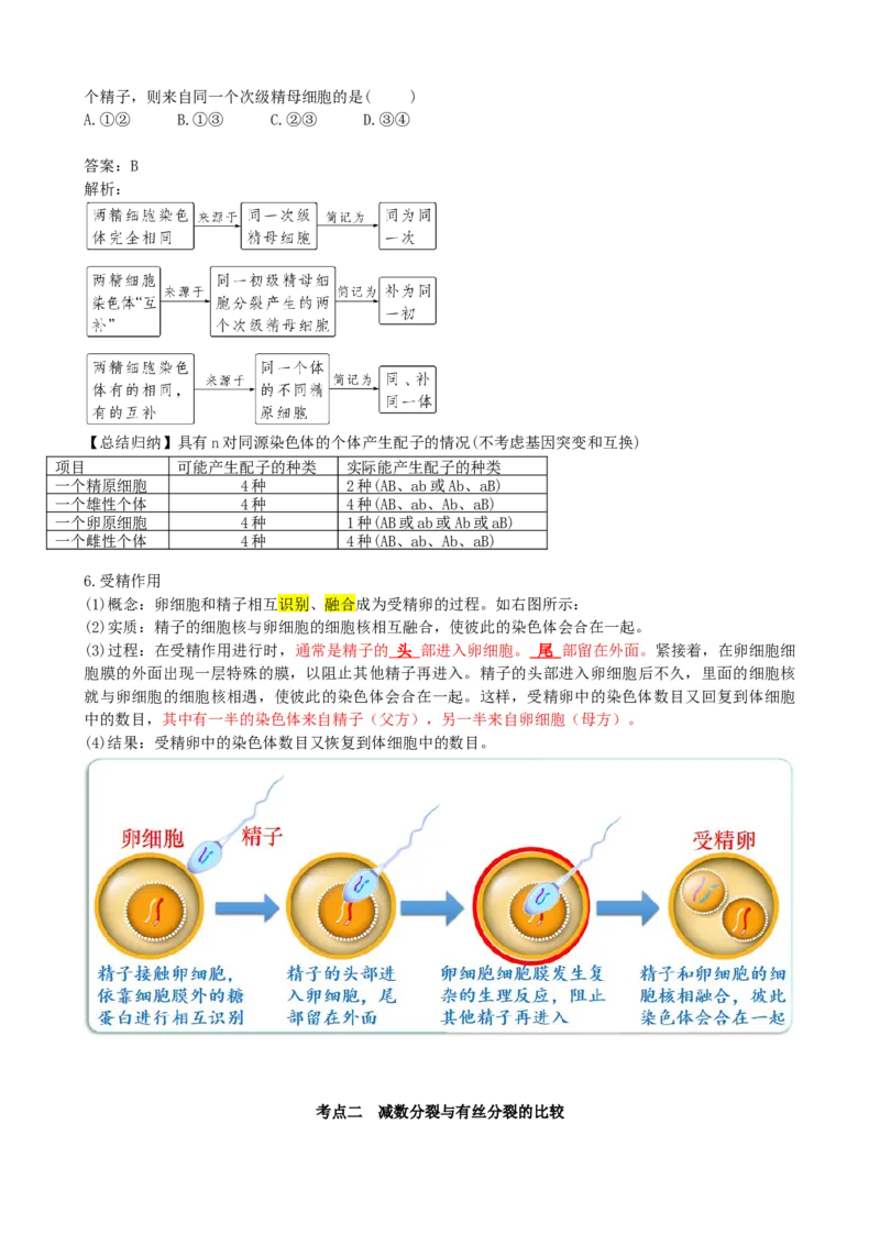 第13讲减数分裂和受精作用（讲义）（学生版）_2024年新高考资料_1.2024一轮复习_2024年高考生物一轮复习讲练测（新教材新高考）