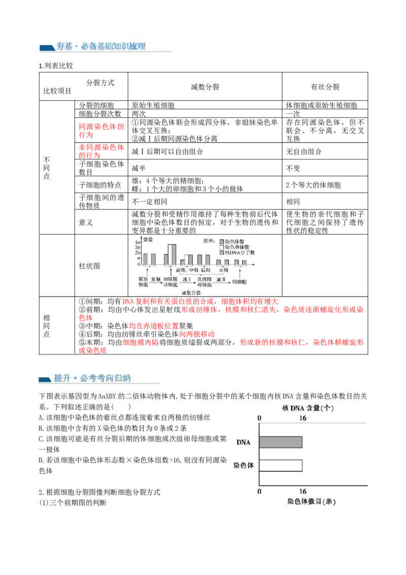 第13讲减数分裂和受精作用（讲义）（学生版）_2024年新高考资料_1.2024一轮复习_2024年高考生物一轮复习讲练测（新教材新高考）