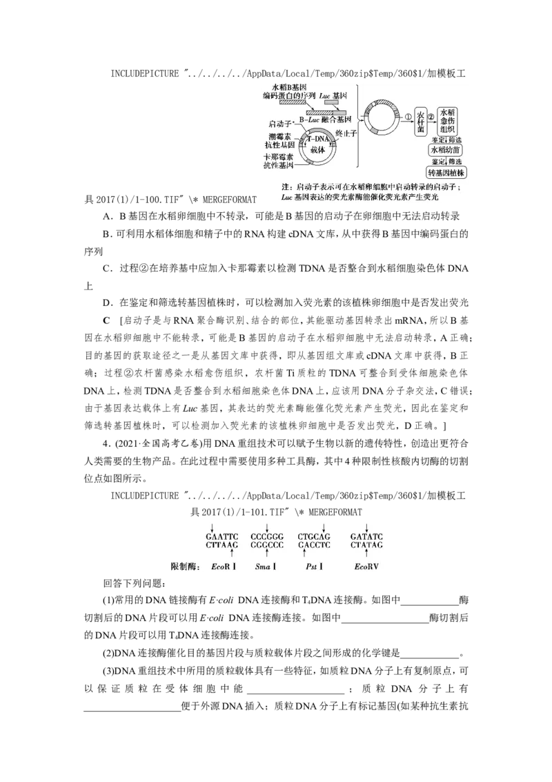 [12533118]高中生物一轮复习学案：第35讲　基因工程_新高考复习资料_2023年新高考复习资料_一轮复习_精讲精练2023届新高考生物一轮复习学案