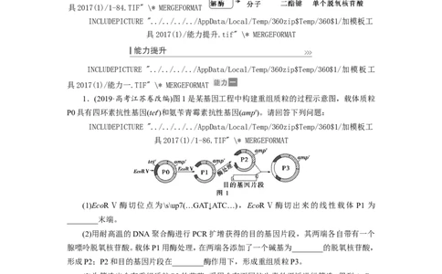 [12533118]高中生物一轮复习学案：第35讲　基因工程_新高考复习资料_2023年新高考复习资料_一轮复习_精讲精练2023届新高考生物一轮复习学案