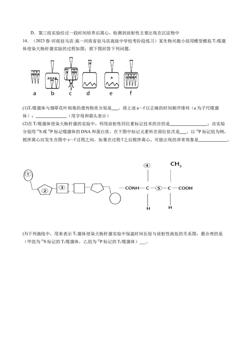第20讲DNA是主要的遗传物质（练习）（原卷版）_2024年新高考资料_1.2024一轮复习_2024年高考生物一轮复习讲练测（新教材新高考）