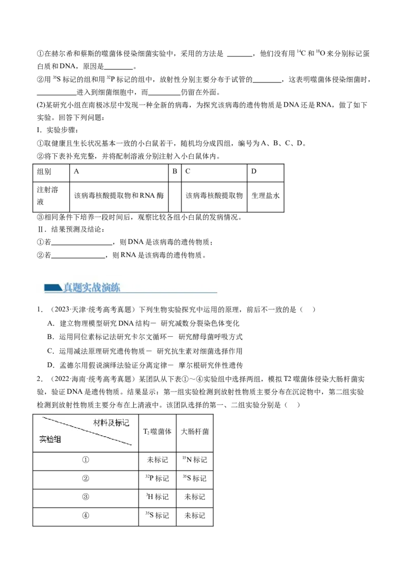 第20讲DNA是主要的遗传物质（练习）（原卷版）_2024年新高考资料_1.2024一轮复习_2024年高考生物一轮复习讲练测（新教材新高考）