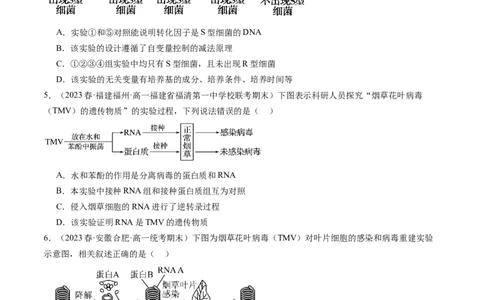 第20讲DNA是主要的遗传物质（练习）（原卷版）_2024年新高考资料_1.2024一轮复习_2024年高考生物一轮复习讲练测（新教材新高考）
