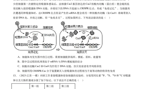 第20讲DNA是主要的遗传物质（练习）（原卷版）_2024年新高考资料_1.2024一轮复习_2024年高考生物一轮复习讲练测（新教材新高考）