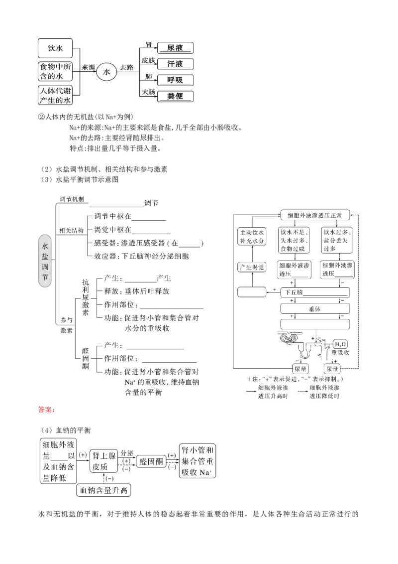 第28讲神经调节和体液调节的关系（讲义）（学生版）_2024年新高考资料_1.2024一轮复习_2024年高考生物一轮复习讲练测（新教材新高考）