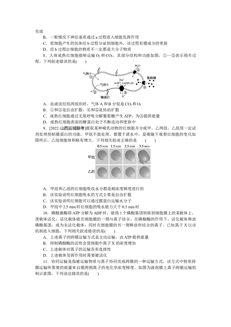 专练13　物质跨膜运输的方式_通用版（老高考）复习资料_2023年复习资料_专项复习_2023《微专题&middot;小练习》&middot;生物