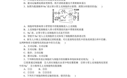 专练13　物质跨膜运输的方式_通用版（老高考）复习资料_2023年复习资料_专项复习_2023《微专题&middot;小练习》&middot;生物