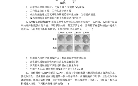 专练13　物质跨膜运输的方式_通用版（老高考）复习资料_2023年复习资料_专项复习_2023《微专题&middot;小练习》&middot;生物