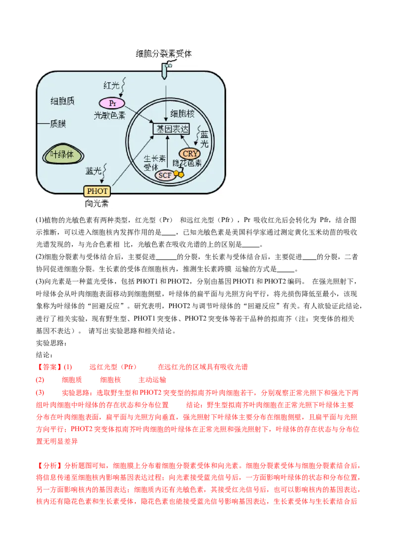 第32.2讲其他植物激素、植物生长调节剂的应用、环境因素参与调节植物的生命活动（练习）（解析版）_2024年新高考资料_1.2024一轮复习_2024年高考生物一轮复习讲练测（新教材新高考）