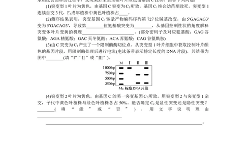 专练46　基因突变和基因重组_通用版（老高考）复习资料_2023年复习资料_专项复习_2023《微专题&middot;小练习》&middot;生物