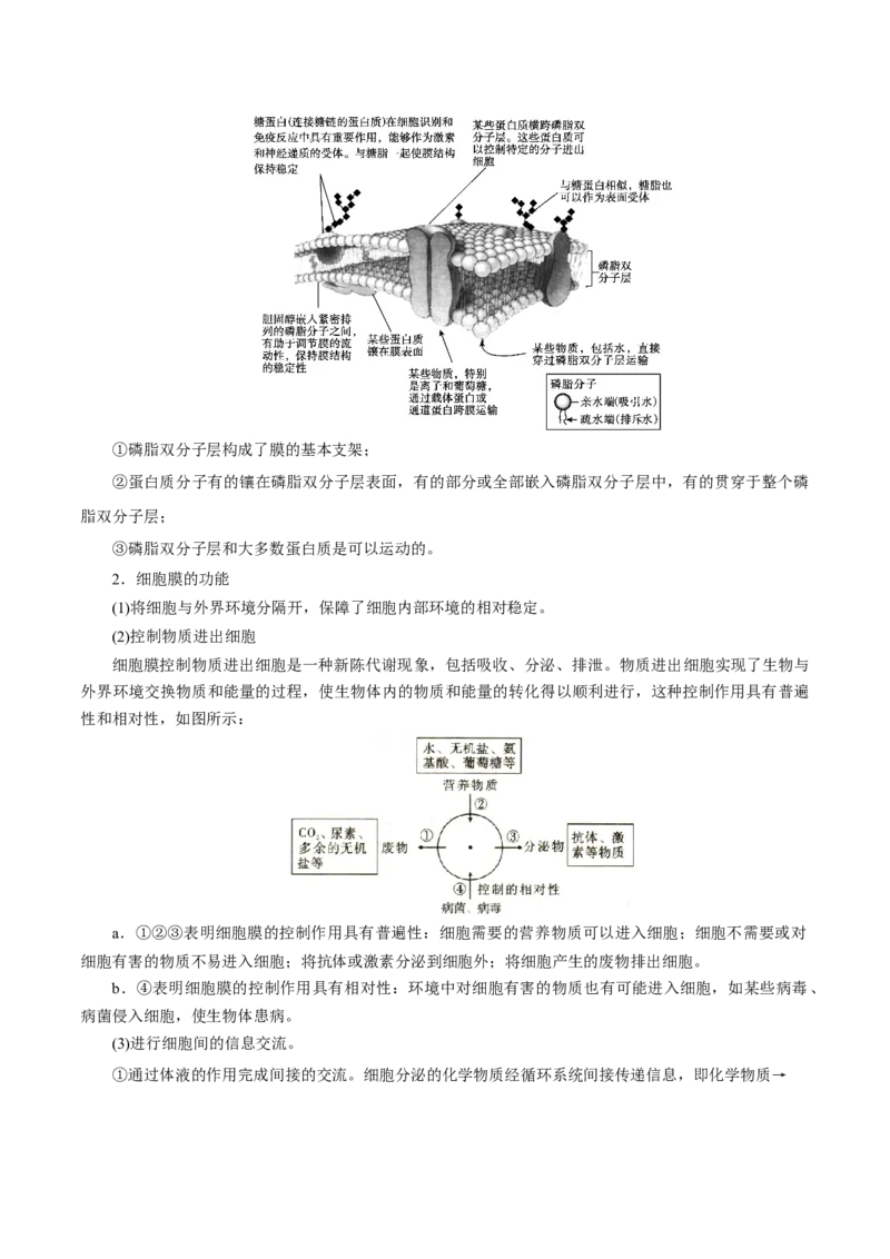 GKSW150_第4讲细胞膜及细胞核-备战2022年高考生物一轮复习精品讲义（人教版）(解析版)_新高考复习资料_2022年新高考复习资料_备战2022新高考生物一轮复习精品讲义（人教版）