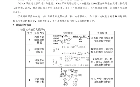 GKSW150_第4讲细胞膜及细胞核-备战2022年高考生物一轮复习精品讲义（人教版）(解析版)_新高考复习资料_2022年新高考复习资料_备战2022新高考生物一轮复习精品讲义（人教版）
