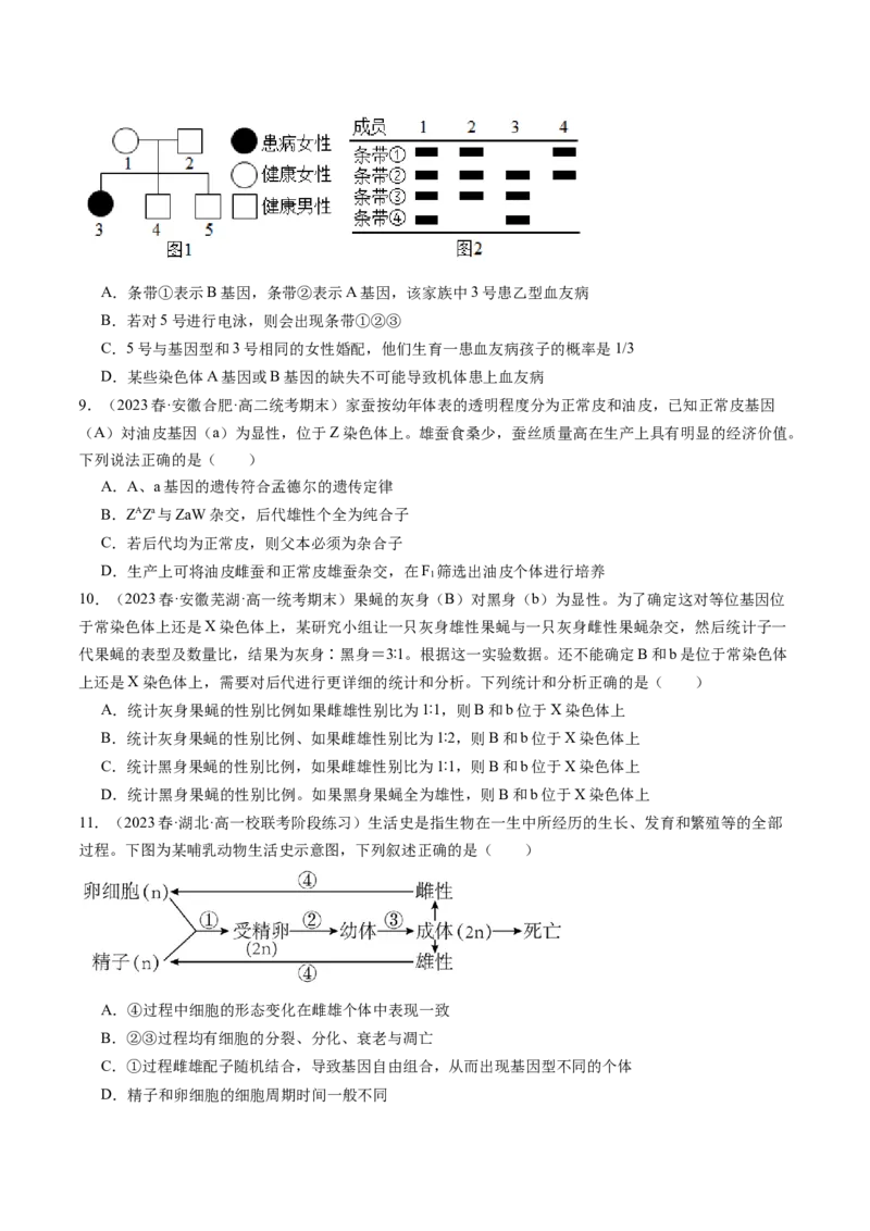 第18讲伴性遗传和人类遗传病（练习）（原卷版）_2024年新高考资料_1.2024一轮复习_2024年高考生物一轮复习讲练测（新教材新高考）