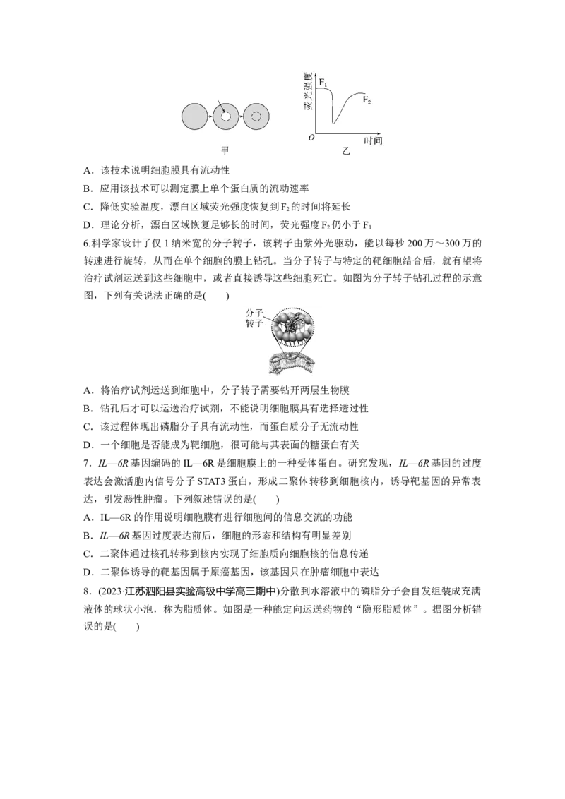 第2单元　课时练1　细胞膜的结构和功能_2024年新高考资料_1.2024一轮复习_2024年高考生物一轮复习讲义（新人教版）_学生版在此文件夹_一轮复习69练