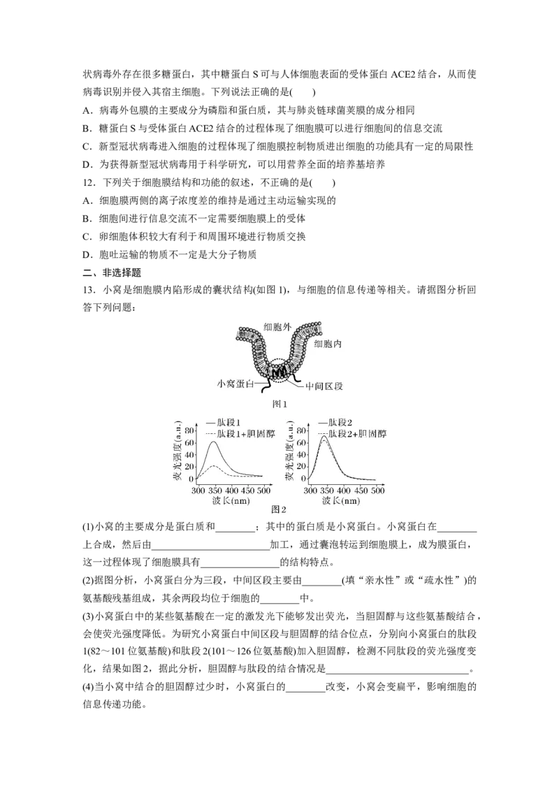 第2单元　课时练1　细胞膜的结构和功能_2024年新高考资料_1.2024一轮复习_2024年高考生物一轮复习讲义（新人教版）_学生版在此文件夹_一轮复习69练