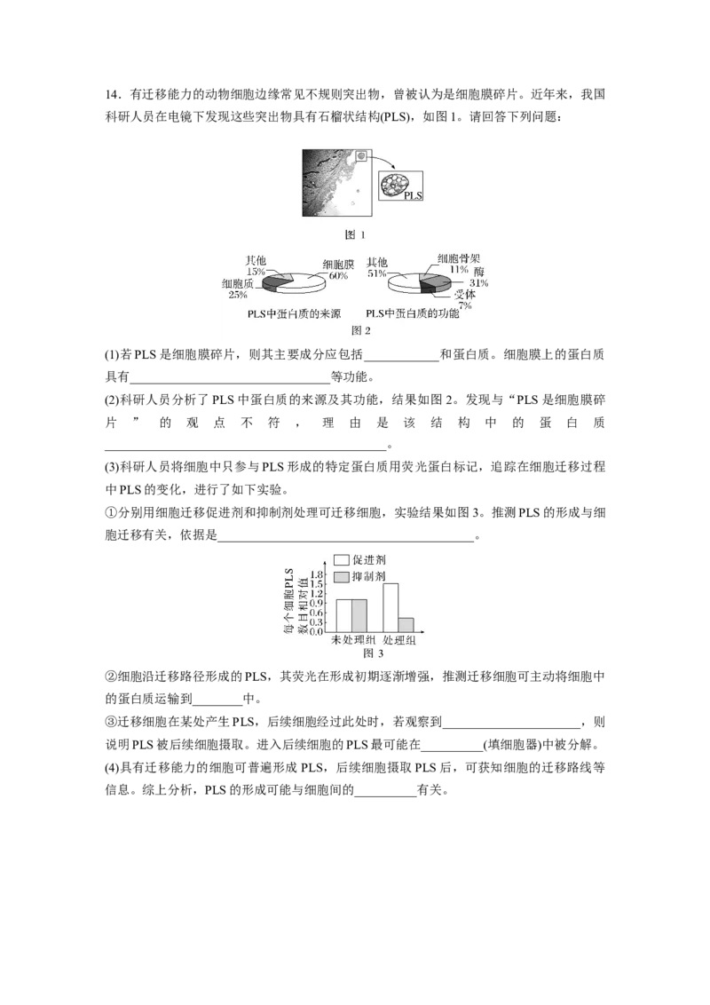 第2单元　课时练1　细胞膜的结构和功能_2024年新高考资料_1.2024一轮复习_2024年高考生物一轮复习讲义（新人教版）_学生版在此文件夹_一轮复习69练
