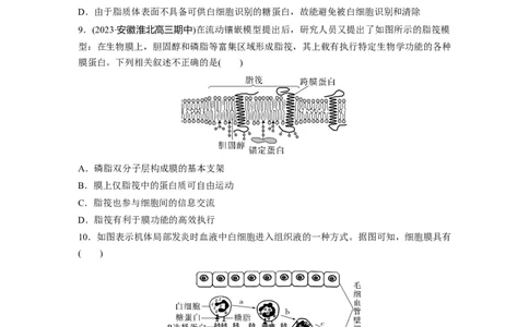 第2单元　课时练1　细胞膜的结构和功能_2024年新高考资料_1.2024一轮复习_2024年高考生物一轮复习讲义（新人教版）_学生版在此文件夹_一轮复习69练