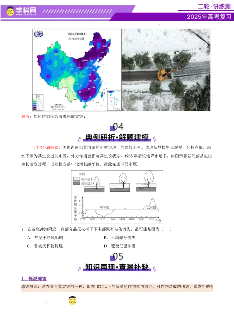 微专题冻害（寒潮、冻雨等）（讲义）（原卷版）_2025年新高考资料_二轮复习_上好课2025年高考地理二轮复习讲练测（新高考通用）3381954