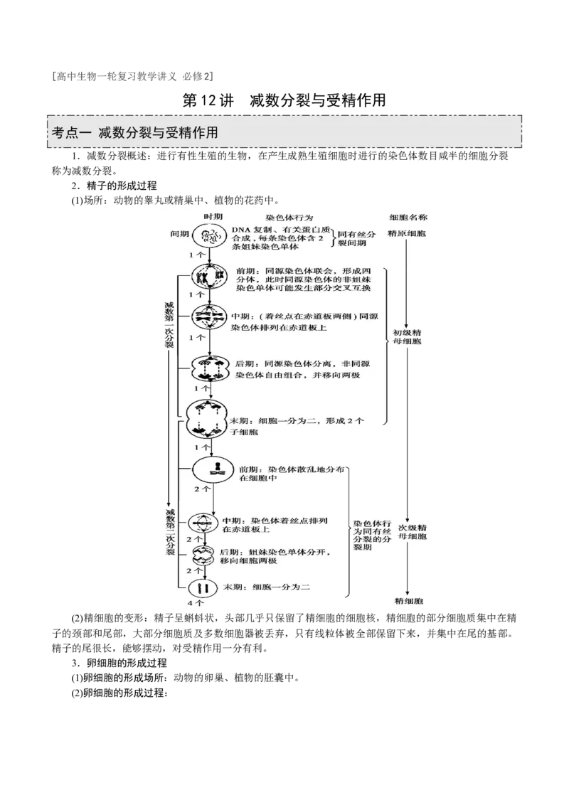 GKSW150_第12讲减数分裂与受精作用-备战2022年高考生物一轮复习精品讲义（人教版）(解析版)_新高考复习资料_2022年新高考复习资料_备战2022新高考生物一轮复习精品讲义（人教版）