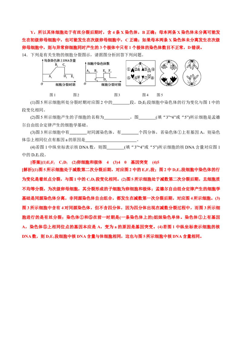 GKSW150_第12讲减数分裂与受精作用-备战2022年高考生物一轮复习精品讲义（人教版）(解析版)_新高考复习资料_2022年新高考复习资料_备战2022新高考生物一轮复习精品讲义（人教版）