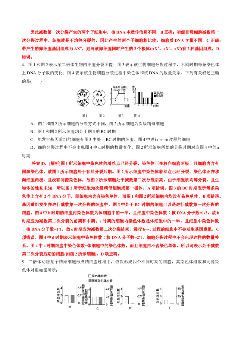 GKSW150_第12讲减数分裂与受精作用-备战2022年高考生物一轮复习精品讲义（人教版）(解析版)_新高考复习资料_2022年新高考复习资料_备战2022新高考生物一轮复习精品讲义（人教版）