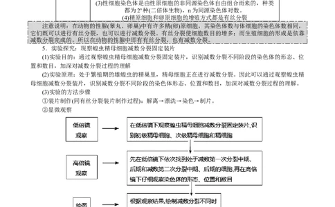 GKSW150_第12讲减数分裂与受精作用-备战2022年高考生物一轮复习精品讲义（人教版）(解析版)_新高考复习资料_2022年新高考复习资料_备战2022新高考生物一轮复习精品讲义（人教版）