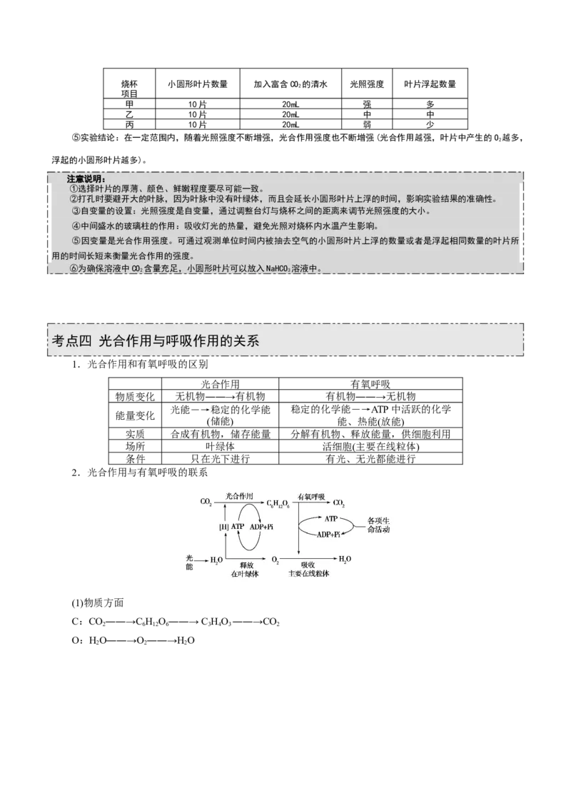 GKSW150_第9讲光合作用-备战2022年高考生物一轮复习精品讲义（人教版）(解析版)_新高考复习资料_2022年新高考复习资料_备战2022新高考生物一轮复习精品讲义（人教版）