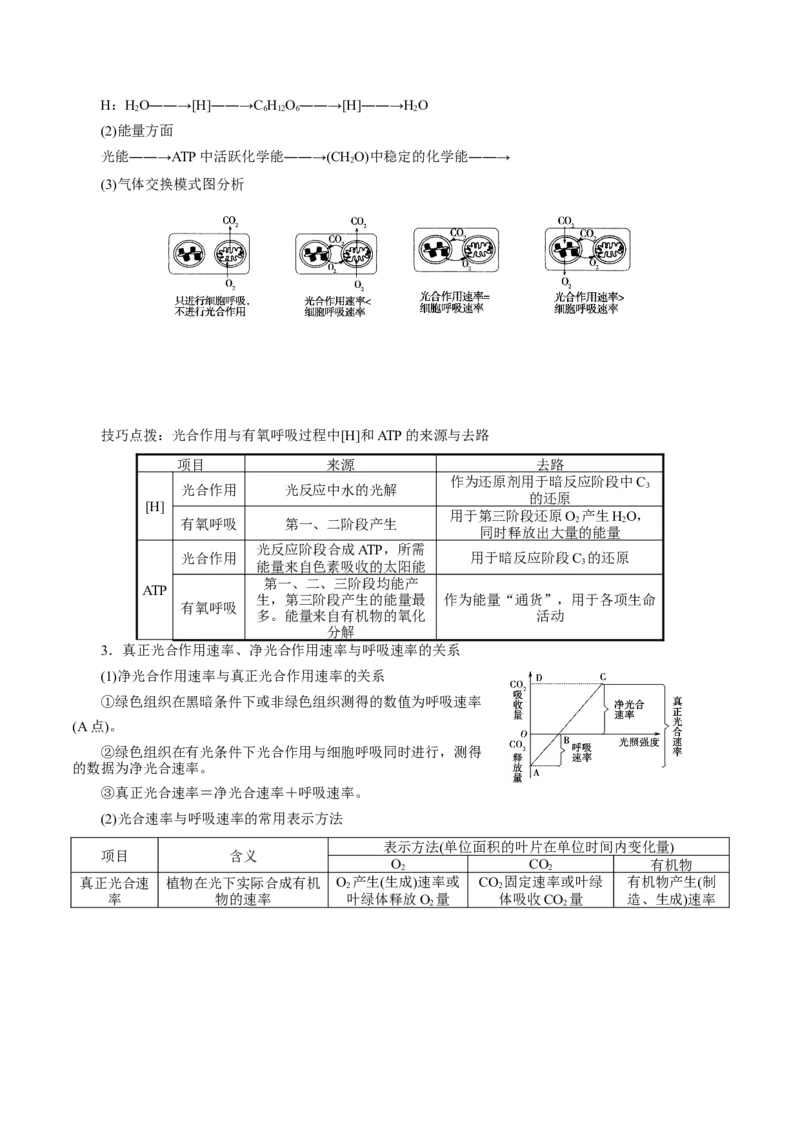 GKSW150_第9讲光合作用-备战2022年高考生物一轮复习精品讲义（人教版）(解析版)_新高考复习资料_2022年新高考复习资料_备战2022新高考生物一轮复习精品讲义（人教版）