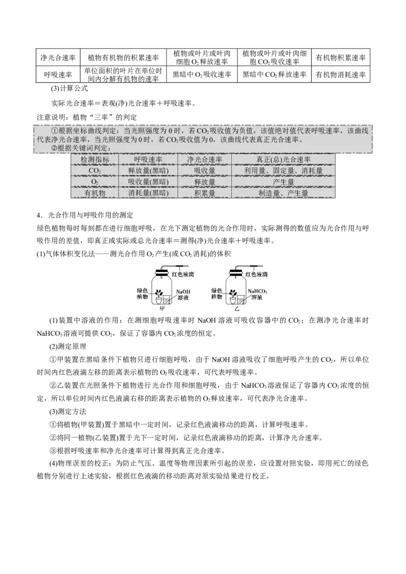 GKSW150_第9讲光合作用-备战2022年高考生物一轮复习精品讲义（人教版）(解析版)_新高考复习资料_2022年新高考复习资料_备战2022新高考生物一轮复习精品讲义（人教版）
