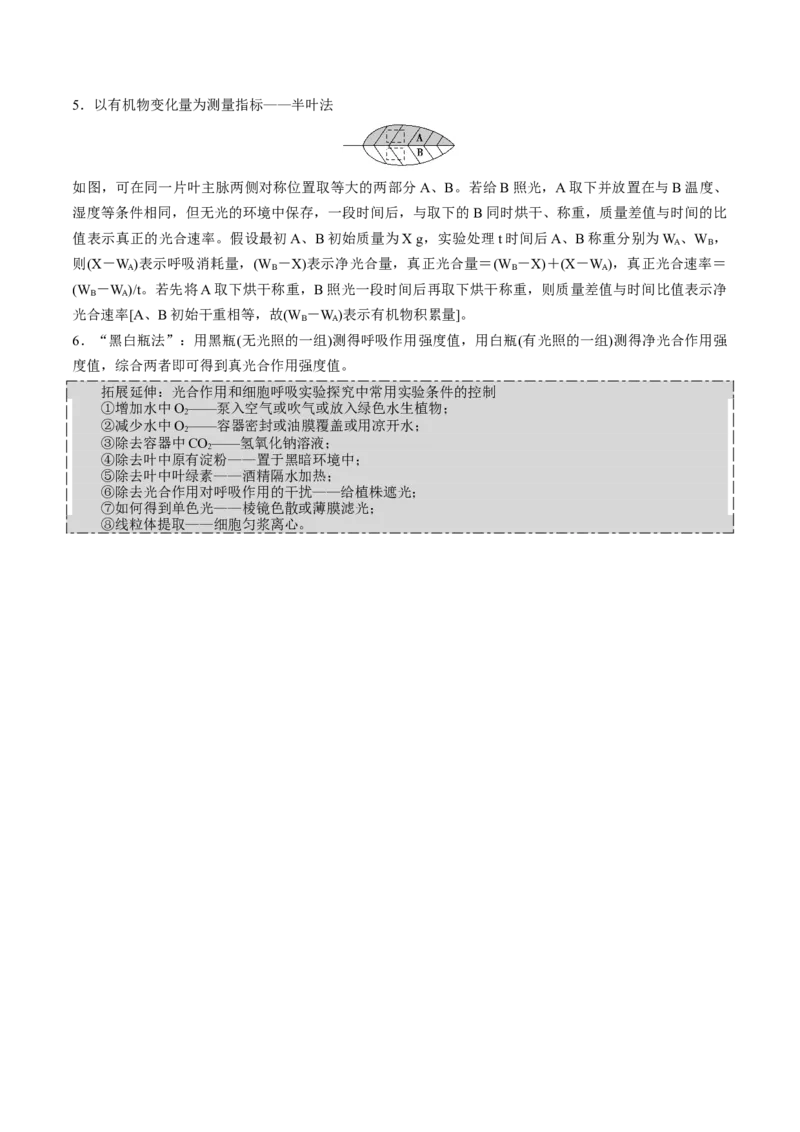 GKSW150_第9讲光合作用-备战2022年高考生物一轮复习精品讲义（人教版）(解析版)_新高考复习资料_2022年新高考复习资料_备战2022新高考生物一轮复习精品讲义（人教版）