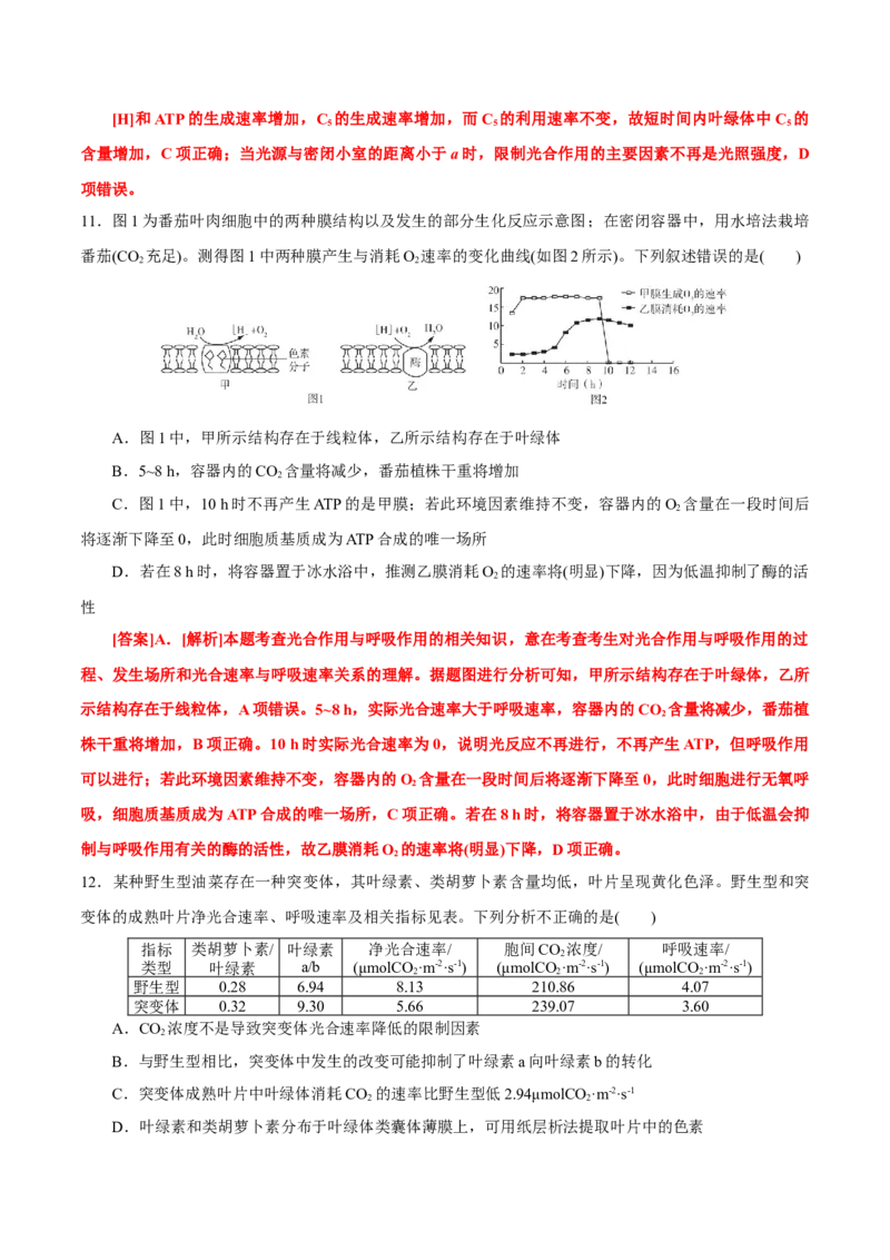 GKSW150_第9讲光合作用-备战2022年高考生物一轮复习精品讲义（人教版）(解析版)_新高考复习资料_2022年新高考复习资料_备战2022新高考生物一轮复习精品讲义（人教版）